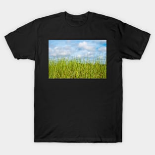 Grass and cloudy sky T-Shirt